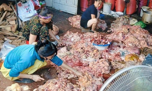 Ph&#225;t hiện cơ sở chế biến mỡ lợn dưới nền nh&#224;, nước đen ng&#242;m