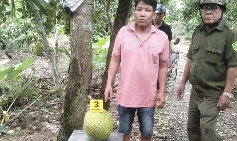 Cơ sở pháp lý vụ người đàn ông bị khởi tố vì trộm hai trái mít trị giá 387.000 đồng
