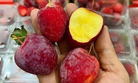 Vì sao táo cherry gây 'sốt' chợ Việt?