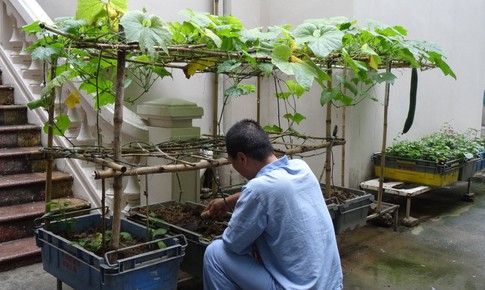 Rối loạn mất ngủ v&#224; c&#225;ch điều trị kh&#244;ng d&#249;ng thuốc: Hướng đi an to&#224;n cho giấc ngủ khỏe mạnh