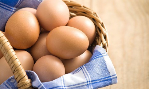 Cảnh giác với trứng nhiễm khuẩn Salmonella để bảo vệ sức khỏe