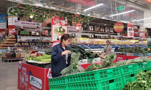Bão số 11 gây mưa lớn, ngập diện rộng, rau xanh có loại vẫn giữ giá 13.500 đồng/kg