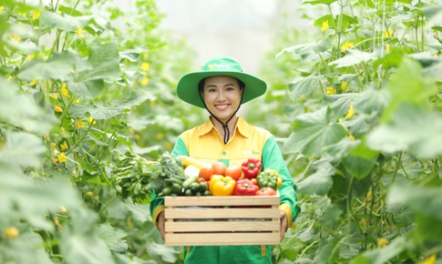 H&#224;nh tr&#236;nh rau sạch WinEco: Từ n&#244;ng trường đến b&#224;n ăn Việt