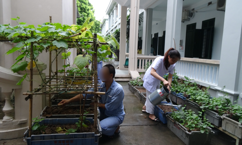Phát hiện và điều trị rối loạn hoang tưởng: Cần sự kết hợp y tế và xã hội