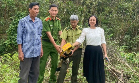 Chim hồng ho&#224;ng qu&#253; hiếm xuất hiện ở khu d&#226;n cư