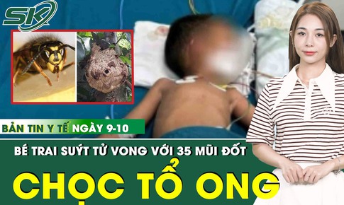 Bản Tin Y Tế 9/10: Bé trai suýt tử vong do chọc tổ ong vò vẽ