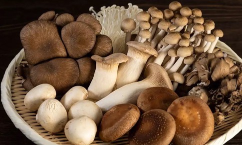 3 loại rau cần tr&#225;nh ở người tăng axit uric trong m&#249;a mưa