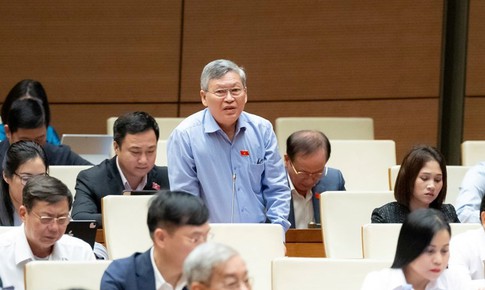 ĐBQH đề nghị phụ nữ sinh đủ 2 con, kh&#244;ng giới hạn độ tuổi đều được hưởng ch&#237;nh s&#225;ch d&#226;n số