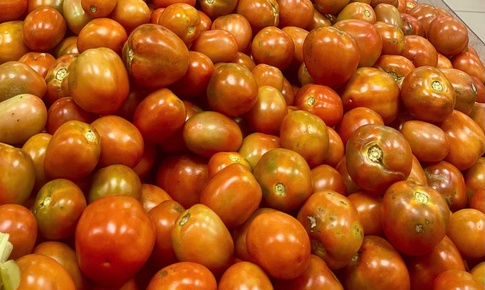 Gi&#225; c&#224; chua chạm mốc 60.000 đồng/kg, nhiều b&#224; nội trợ &#39;giật m&#236;nh&#39; khi đi chợ