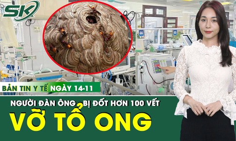 Bản Tin Y Tế 14/11: Người đ&#224;n &#244;ng bị ong đốt hơn 100 vết, suy đa tạng nguy kịch