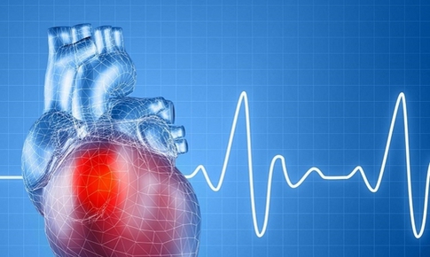 Dấu hiệu cảnh b&#225;o bạn n&#234;n đi kh&#225;m b&#225;c sĩ tim mạch ngay
