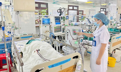 Cấp cứu, điều trị th&#224;nh c&#244;ng bệnh nh&#226;n suy đa tạng do ong v&#242; vẽ đốt