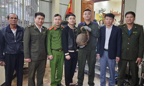 Người d&#226;n H&#224; Tĩnh giao nộp hai c&#225; thể động vật hoang d&#227; qu&#253; hiếm