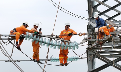 Ho&#224;n th&#224;nh thay thế c&#225;ch điện đường d&#226;y 220kV mạch k&#233;p Th&#225;i B&#236;nh – Tiền Hải – Trực Ninh đ&#250;ng tiến độ trong điều kiện mưa b&#227;o khắc nghiệt