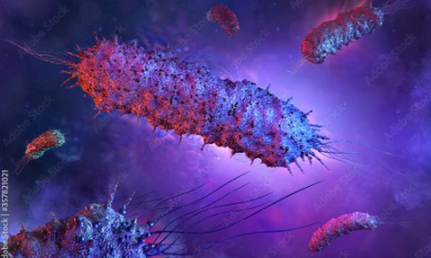 Miếng d&#225;n virus ti&#234;u diệt 99.9% vi khuẩn trong thực phẩm