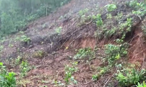 Đỉnh đồi ở Huế xuất hiện vết nứt hở hơn 1m