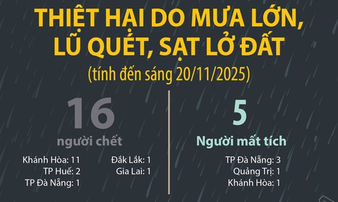 Thiệt hại do mưa lớn, lũ qu&#233;t, sạt lở đất (t&#237;nh đến s&#225;ng 20/11/2025)