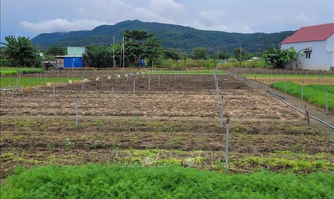Mưa b&#227;o g&#226;y thiếu hụt rau củ, TP Hồ Ch&#237; Minh tăng dự trữ, mở rộng nguồn cung