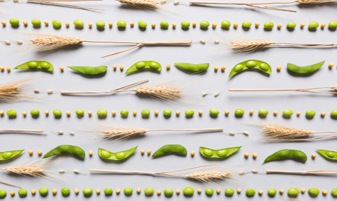 Th&#234;m đạm thực vật mỗi s&#225;ng - Sống khỏe chủ động mỗi ng&#224;y