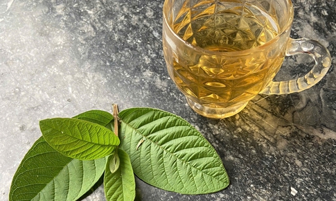 Ai kh&#244;ng n&#234;n uống nước l&#225; ổi?