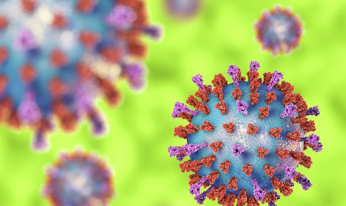 Người lớn cũng c&#243; nguy cơ cao nhiễm virus hợp b&#224;o h&#244; hấp