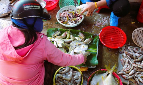Bất chấp cảnh b&#225;o, người d&#226;n ven biển vẫn b&#224;y b&#225;n tr&#224;n lan loại c&#225; chứa độc tố cực mạnh