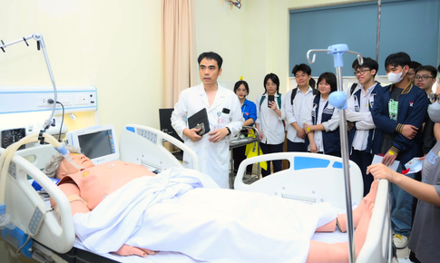 Hiện nay, c&#243; bao nhi&#234;u trường đại học được giao nhiệm vụ đ&#224;o tạo b&#225;c sĩ?