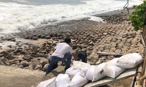 K&#232; biển Mũi N&#233; sạt lở nghi&#234;m trọng, kiến nghị c&#244;ng bố t&#236;nh huống khẩn cấp