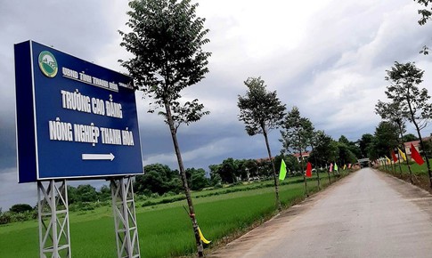 Học sinh lớp 10 ở Thanh Ho&#225; bị bạn c&#249;ng trường đ&#225;nh hội đồng dẫn tới nguy kịch