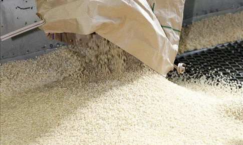 Nhu cầu gạo từ thị trường ch&#226;u &#193; giảm, doanh nghiệp t&#237;ch cực chuyển hướng thị trường