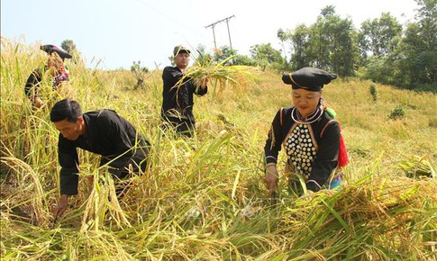 Những ch&#237;nh s&#225;ch mới nổi bật c&#243; hiệu lực từ th&#225;ng 12/2025