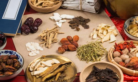 4 nh&#243;m giải ph&#225;p then chốt th&#250;c đẩy khai th&#225;c bền vững t&#224;i nguy&#234;n dược liệu tại Việt Nam