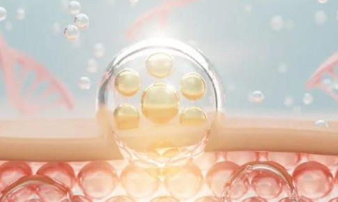 5 c&#225;ch gi&#250;p cơ thể tự sản sinh collagen, l&#224;m chậm qu&#225; tr&#236;nh l&#227;o h&#243;a da