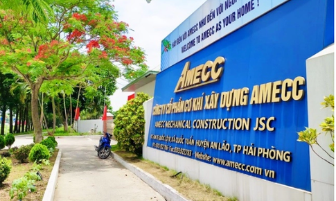 X&#226;y dựng Amecc bị xử phạt