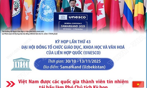 Việt Nam tr&#250;ng cử Ph&#243; Chủ tịch Kỳ họp lần thứ 43 Đại hội đồng UNESCO