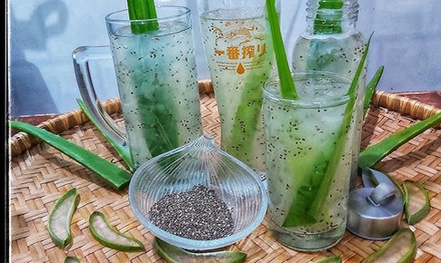 Kh&#225;m ph&#225; b&#237; quyết phục hồi t&#243;c hư tổn từ l&#244; hội v&#224; hạt chia