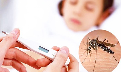 L&#226;m Đồng ghi nhận gần 7.000 ca sốt xuất huyết Dengue, 3 người tử vong