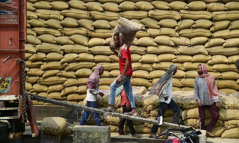 Cầu yếu, cung tăng g&#226;y sức &#233;p l&#234;n gi&#225; gạo xuất khẩu của c&#225;c nước ch&#226;u &#193;