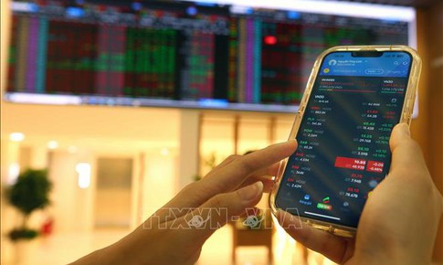 &#193;p lực b&#225;n gia tăng, chứng kho&#225;n Việt giảm gần 200 điểm sau 4 tuần