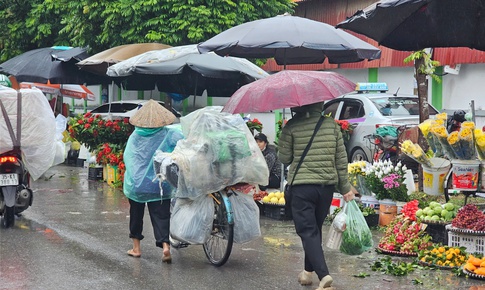 Miền Bắc mưa nhỏ trước khi chuyển nắng hết tuần tới