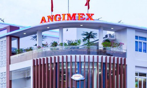 C&#244;ng ty Xuất nhập khẩu An Giang kh&#244;ng c&#244;ng bố th&#244;ng tin theo quy định