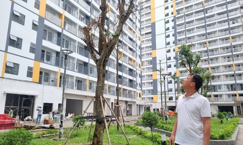 Người sinh 2 con trở l&#234;n ch&#237;nh thức được ưu ti&#234;n hưởng ch&#237;nh s&#225;ch nh&#224; ở x&#227; hội từ 1/7/2026