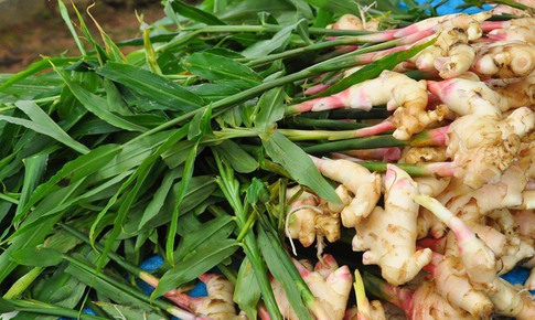 4 nh&#243;m người tuyệt đối kh&#244;ng n&#234;n ăn gừng 