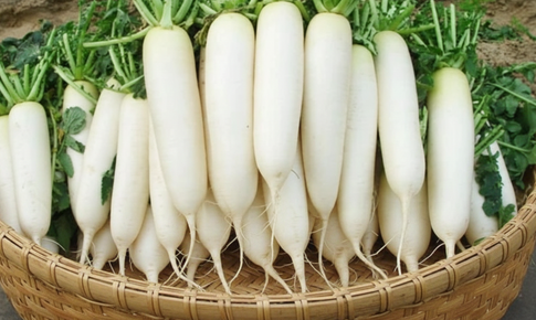 7 lý do nên ăn củ cải trắng vào mùa đông nhưng lưu ý 5 tác dụng phụ
