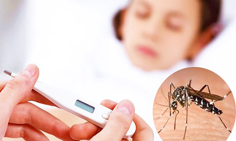 Các vitamin cần bổ sung sau sốt xuất huyết giúp cơ thể mau hồi phục