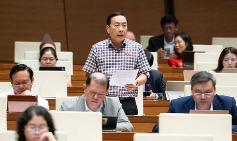 Đề xuất x&#226;y trường đại học chuẩn quốc tế tại Việt Nam để sinh vi&#234;n kh&#244;ng phải ra nước ngo&#224;i học