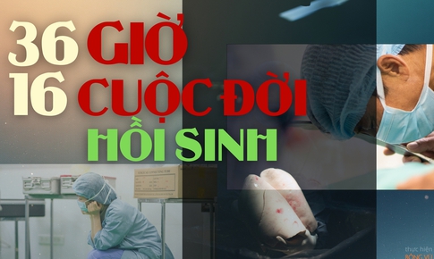 36 giờ, 16 cuộc đời hồi sinh dưới &#225;nh đ&#232;n kh&#244;ng hắt b&#243;ng