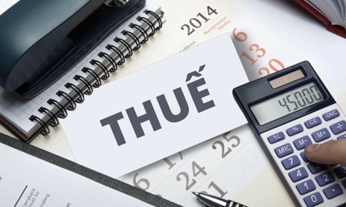 Không đăng ký thuế có thể bị truy thu toàn bộ số tiền từ trước đến nay
