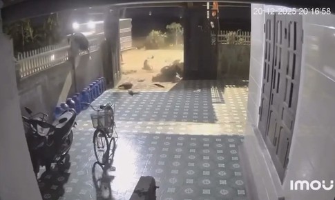 Kinh hoàng clip va chạm ô tô tải, 3 thiếu niên đi xe máy thương vong