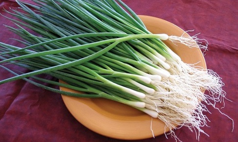 Hành lá – gia vị, vị thuốc quý của mùa đông